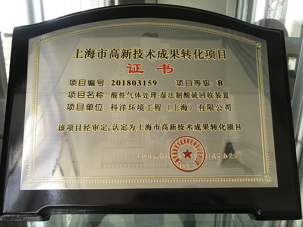 上海市高新技術(shù)成果轉(zhuǎn)化項目